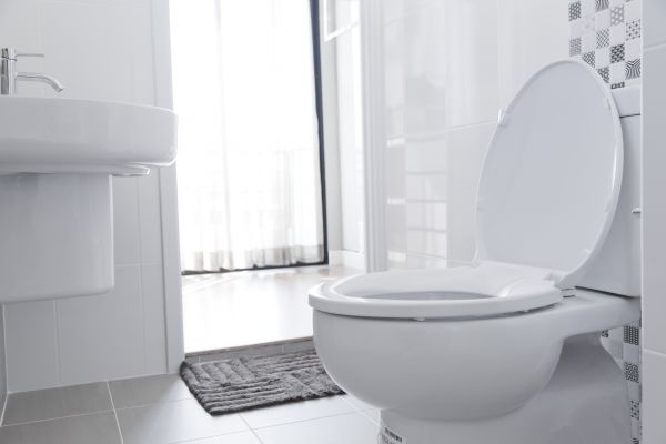 Cost of Toilet Relocation in Royal Oak