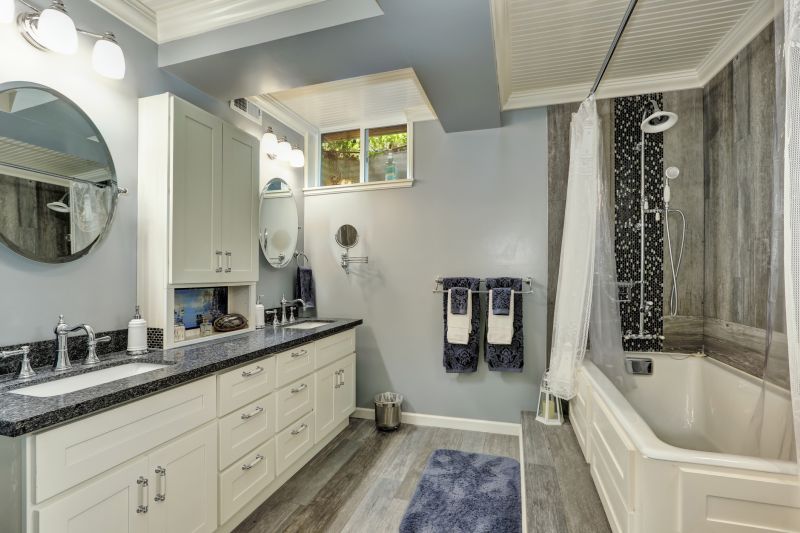 Renovated Bathroom Spaces