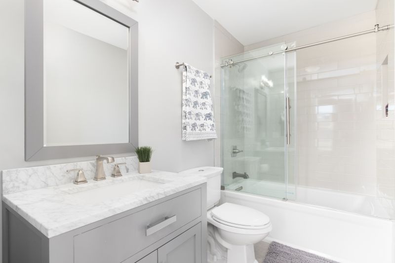Top Tub To Shower Conversion Companies in Commerce Township, MI