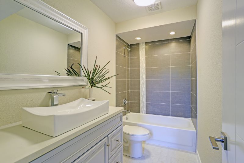 Top Tub To Shower Conversion Companies in Novi, MI
